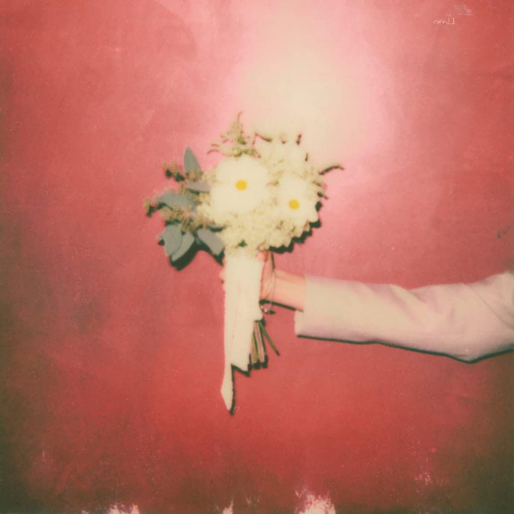 Edera Wedding Studio 2024