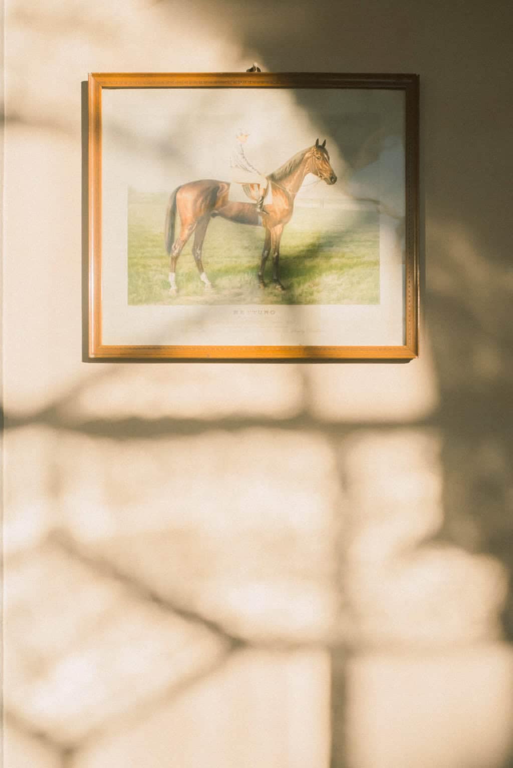 senza titolo-13 Edera Wedding Studio 2024