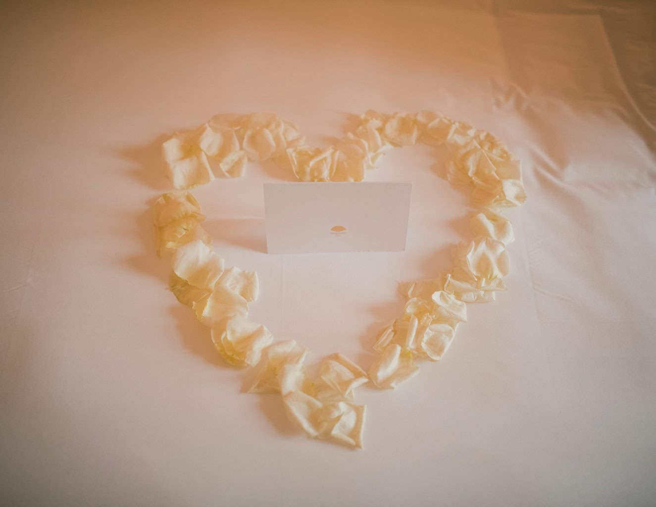 senza titolo-77 Edera Wedding Studio 2024